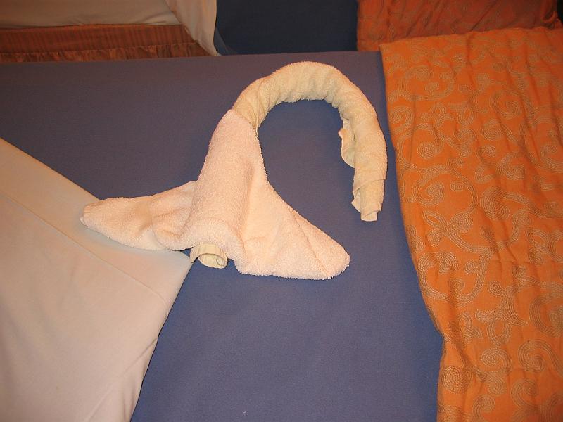 Picture 036